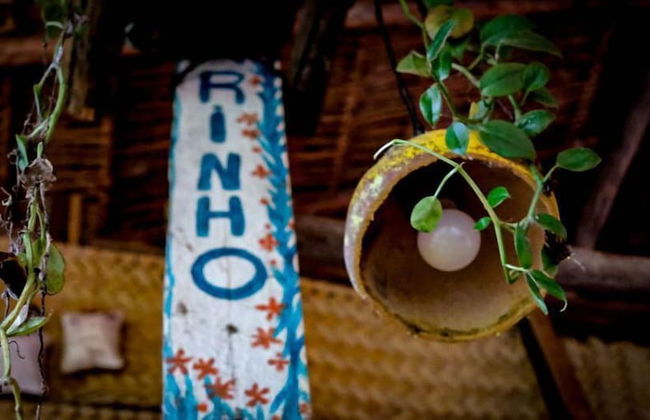 Pousada Pouso das Araras - Foto 46