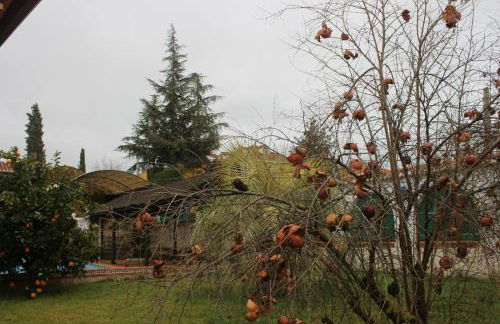 VillaFilomena - Foto 27