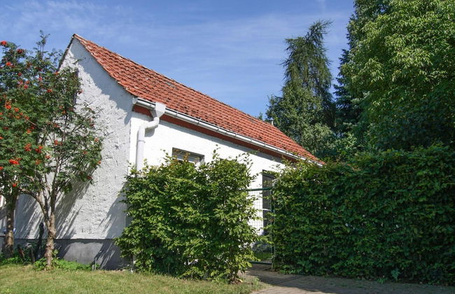 Ferienhaus im Mueritz-nationalpark - Photo 8