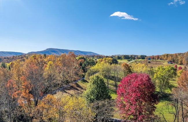 Mariposa Moon Cottage at Sleepy Creek - Foto 53