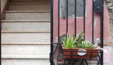 La Casa di Patty - Foto 4, Garden, Garden view