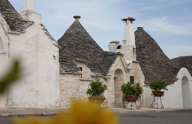 Tipico Resort - Foto 1