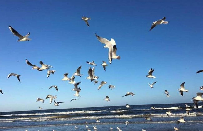 Time out Karlshagen Comfortable Vacation Home - Photo 15