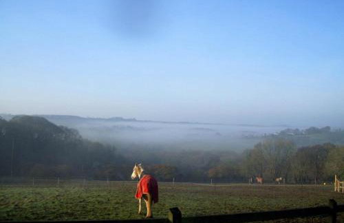 Yealm Cabin Self Catering Log Cabin in Devon with Hot Tub - Foto 32