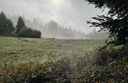 Szlak By Trafił - Photo 72