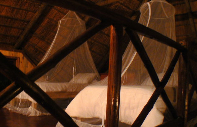 Lion Tree Bush Lodge - Foto 3