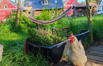 Fewo VOR DEM BERG Bergstraße 21 - Foto 46