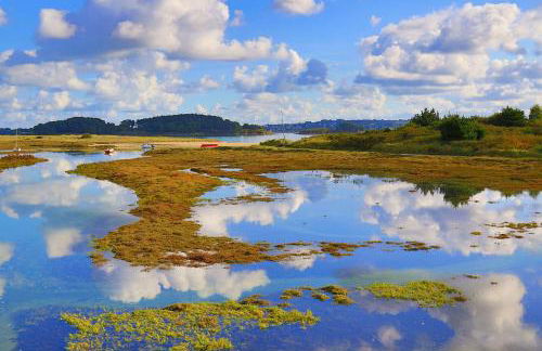 Maison de charme à 600m de la mer avec WIFI à PLEUMEUR - BODOU REF-648 - Photo 20