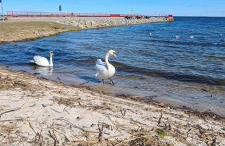 Ferienhaus am Seegrund - Foto 50