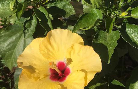 VILLA ASTERAKI private pool, magic sunsets, near Elafonisi - Foto 31