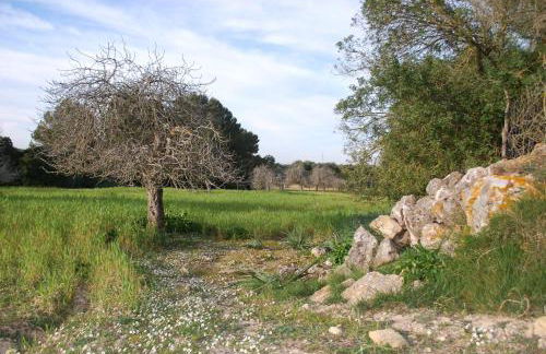 Agroturismo Son Sant Andreu - Foto 58