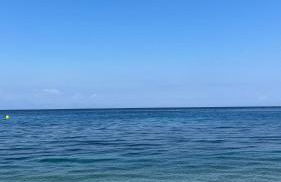 Elefanti Nani - Foto 41