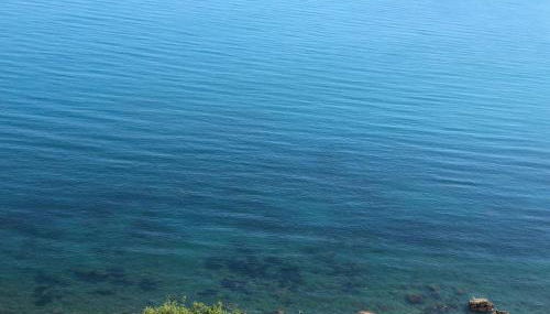 NFACCI o MARI - Foto 3