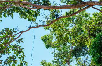 Casa Tulum - Foto 41