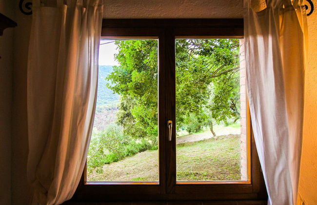 Boschi di Montecalvi - Foto 32