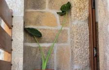 Casa Cereja - Foto 17