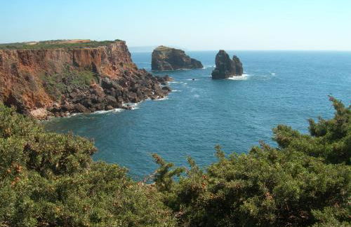 Carrapateiramar Guest House - Foto 46