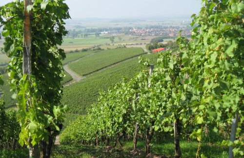 Ferienwohnung Gäste Oase - Foto 19