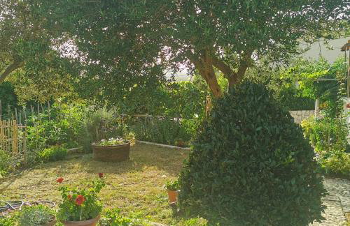 Pag Vlasici - Foto 27