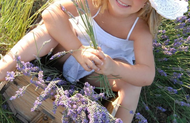 Fattoria Belvedere - Photo 39