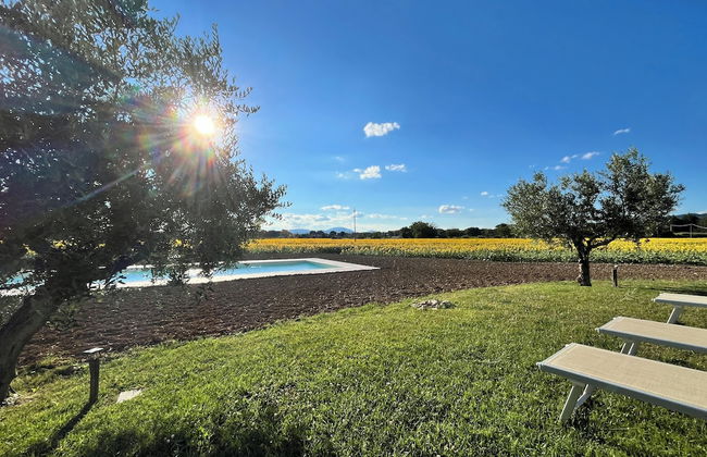 Assisium Agriturismo - Foto 19