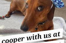 8 Berth Caravan at Blue Dolphin East coast - Foto 36