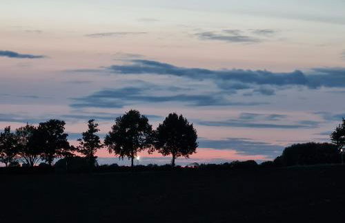 Giese FeWo Küstenglück - Foto 36