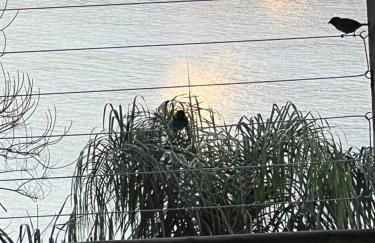 Casa 5 Suítes com Vista para o Mar - Praia Barra do Sahy - Foto 20