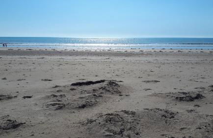 Gîte LES CHANTS DU CREPUSCULE - Foto 50