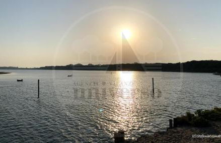 SOTTO IL PINO - Foto 24