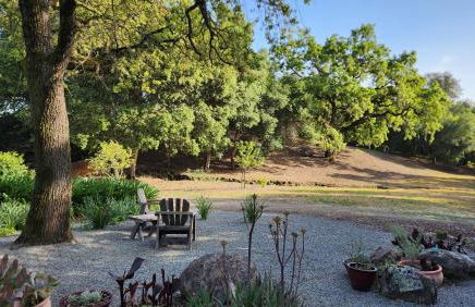 Amitabha Wine Country Cottage - Foto 12