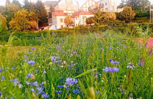 Apartament Rynek 20 - Foto 65