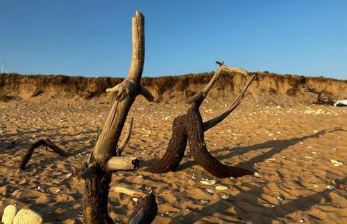 Appartement T2 superbe - Foto 19