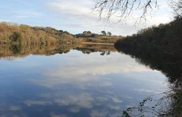 Bandar Cottage, farm cottage, close to Narberth, Pembrokeshire - Foto 8