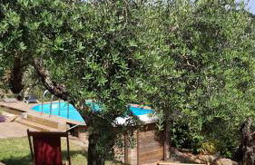 Podere il Poggio - Foto 18