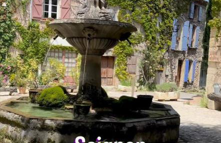 Cabane bambou - Photo 21