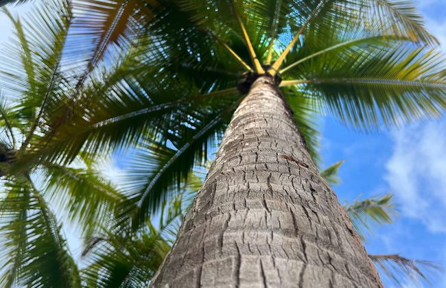 Casa de los Kobiera - Foto 21