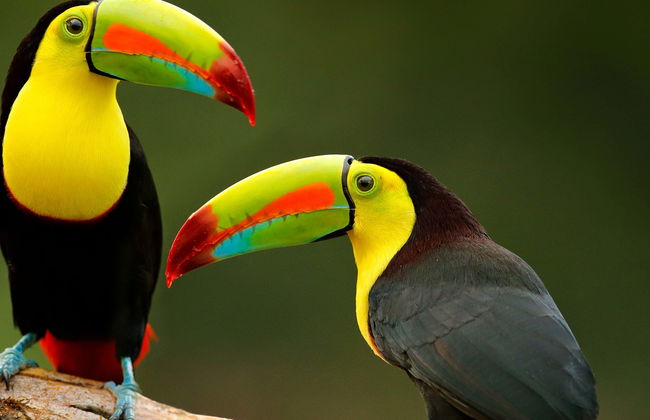 Excursión al refugio de animales silvestres Güirá Oga - Foto 1