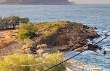 ''Le Bleu Infini'' - Foto 45