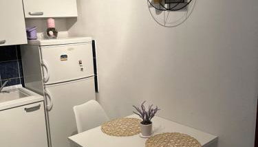 Apartments Despotović - Photo 3