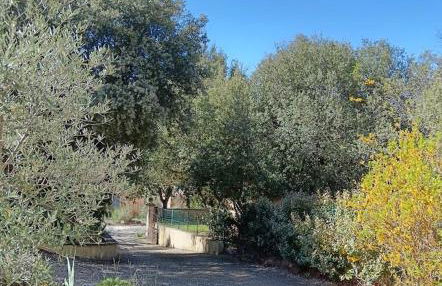 Maison de vacances avec piscine privative, Oustau des Oliviers vue dominante Colorado provençal - Foto 44