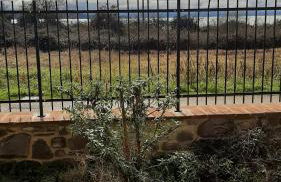 La casa sul lago dorato - Foto 12