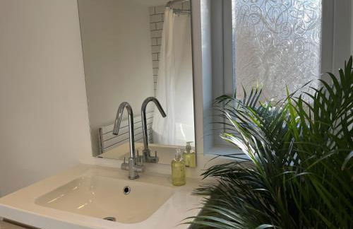 Restored Victorian Home with Private Garden - Foto 33