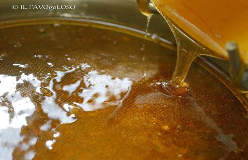 Il Favogoloso - Foto 48