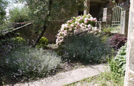 piscina con vista - Foto 18