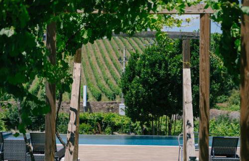 Quinta Vale de Sousa - Douro Valley - Foto 142