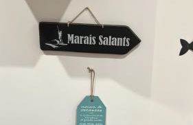 Gîte Rêves d'Océan, location indépendante chez Miquel-Anges - Foto 18