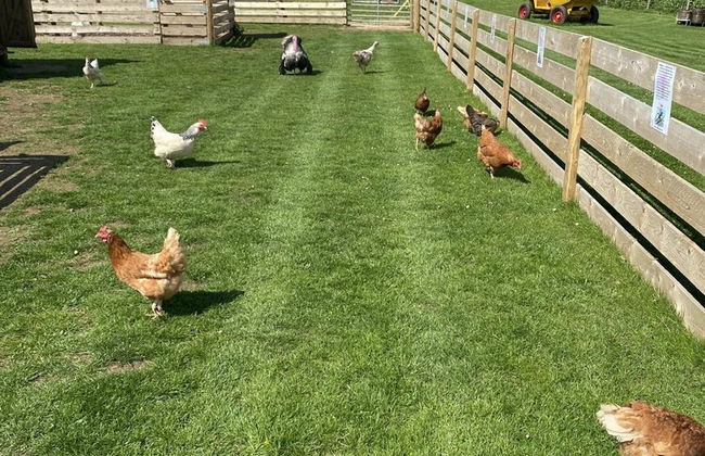 Inviting 2 bed Camper in Holyhead - Photo 27