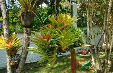 Cantinho da Paz - Photo 7