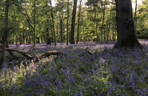 Windmill Farm - Foto 6